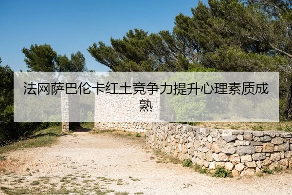 法网萨巴伦卡红土竞争力提升心理素质成熟