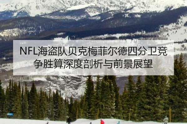 hai-dao-dui-bei-ke-mei-fei-er-de-si-fen-wei-jing-zheng-sheng-suan-shen-du-pou-xi-yu-qian-jing-zhan-wang-3-866.jpg
