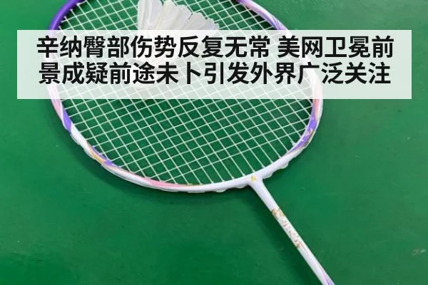 辛纳臀部伤势反复无常 美网卫冕前景成疑前途未卜引发外界广泛关注